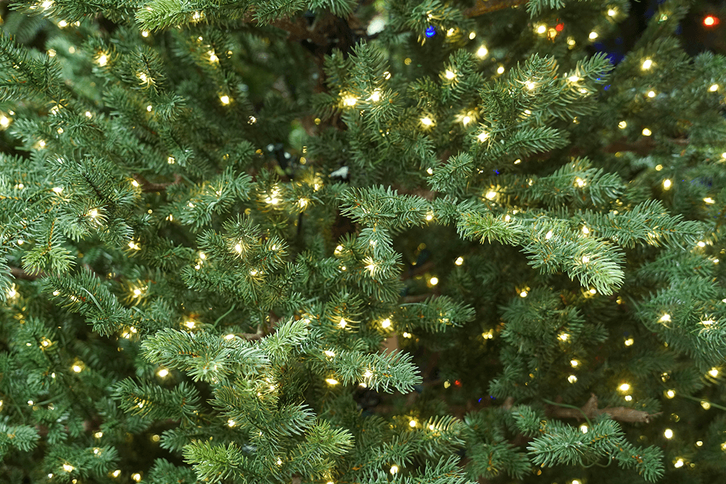 How to Pick the Best Pre-Lit Christmas Tree: A Buying Guide - Platt Hill  Nursery - Blog & Advice